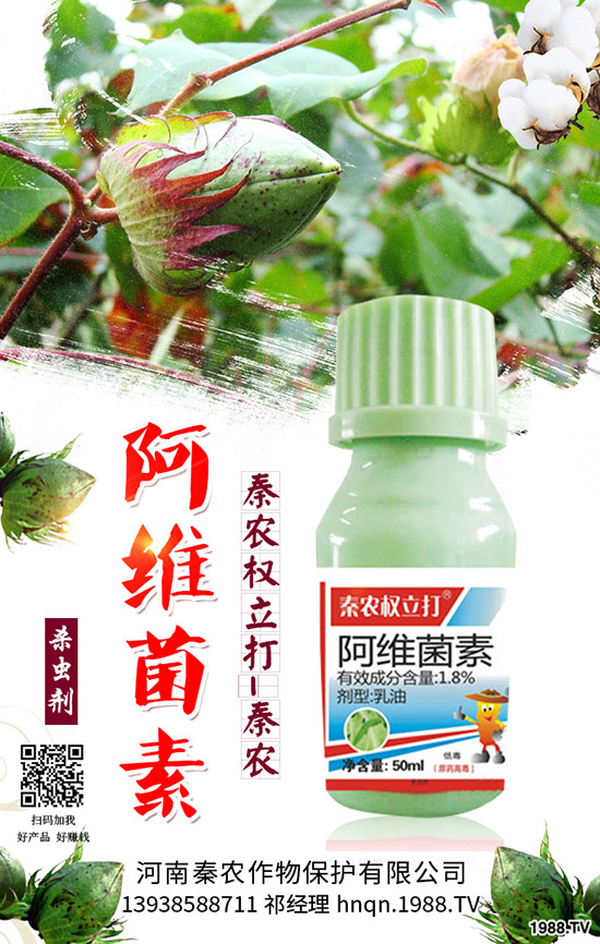 番茄生理性卷葉是什么原因？番茄生理性卷葉病的防治！