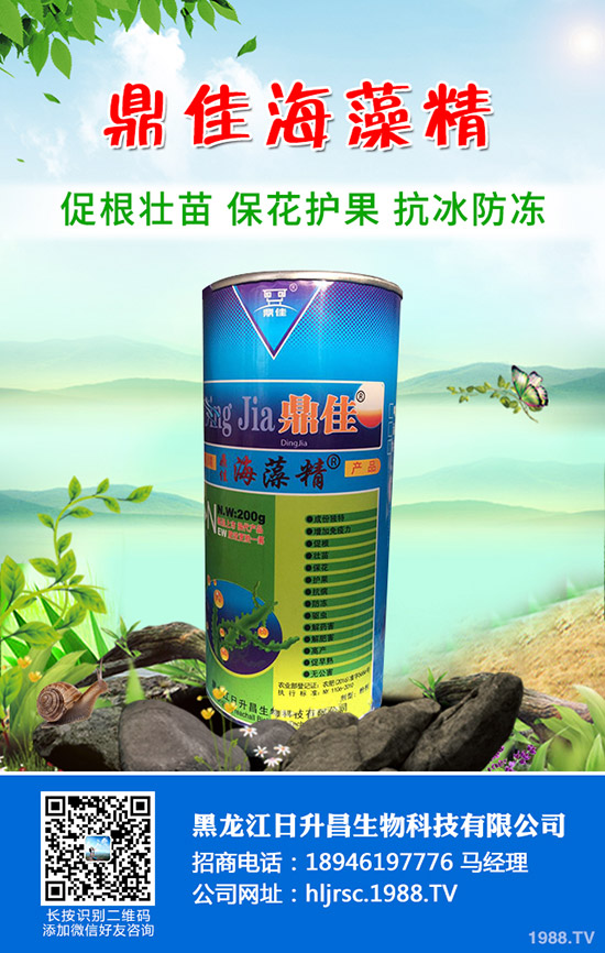 辣椒怎么育苗產(chǎn)量好，辣椒育苗技術(shù)要點(diǎn)！