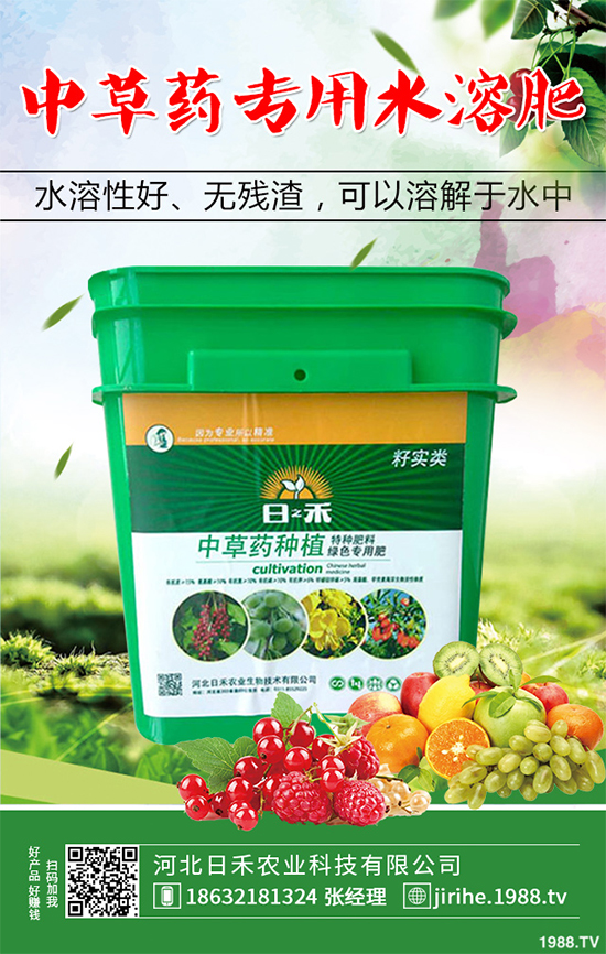 射干該怎么種植？中藥材射干的種植技術(shù)要點(diǎn)