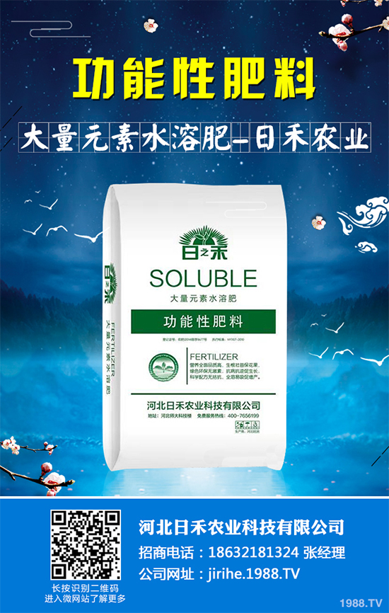 射干該怎么種植？中藥材射干的種植技術(shù)要點(diǎn)