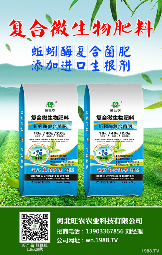 大棚香椿怎么栽培？大棚香椿高產(chǎn)栽培技術