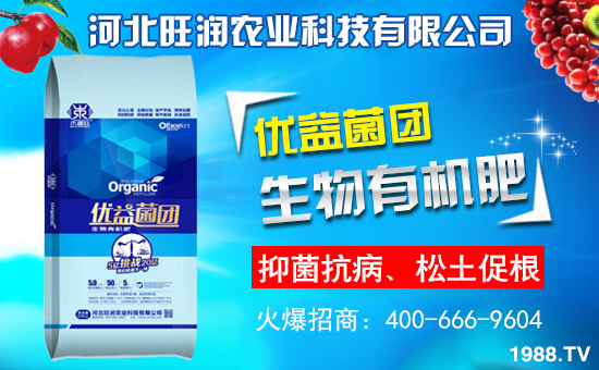 �ӱ������r�I(y��)�m(x��)�s1988.TV�����\�����°l(f��)չ��