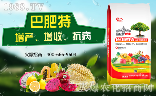 �ӱ������r�I(y��)�m(x��)�s1988.TV�����\�����°l(f��)չ��