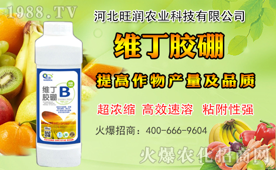 �ӱ������r�I(y��)�m(x��)�s1988.TV�����\�����°l(f��)չ��