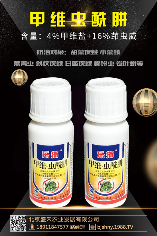 小麥紅蜘蛛的發(fā)生規(guī)律有哪些？小麥紅蜘蛛防治措施！