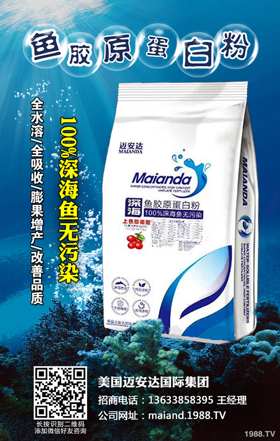     尿素價(jià)格局部上漲！最新尿素行情走勢(shì)分析2020-4-14！