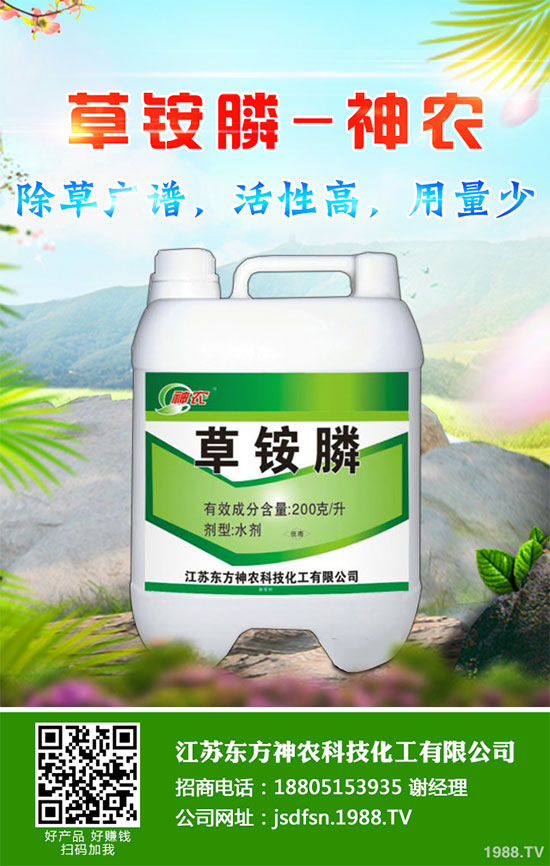 蒲公英種植如何實(shí)現(xiàn)高產(chǎn)？種植蒲公英效益如何呢？