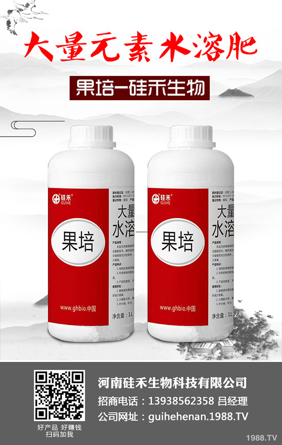 南瓜種植管理都有哪些方法？南瓜如何科學管理？