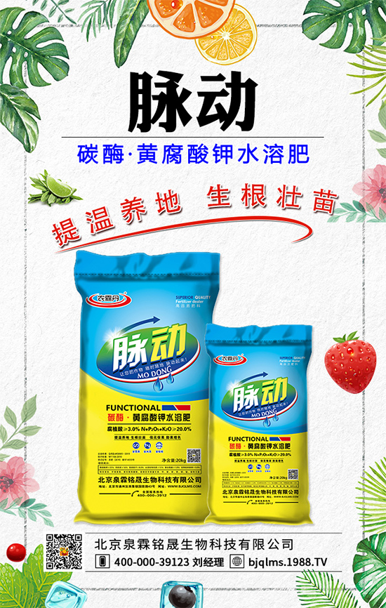 蒲公英藥用價值有哪些？蒲公英作用及功效！