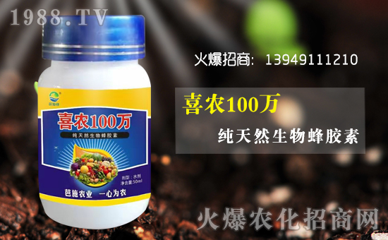 ��(zh��n)�Ժ���������(j��)�����ϰ�ʩ�G�r(n��ng)�I(y��)�y��1988.TV�ل�(chu��ng)�x����