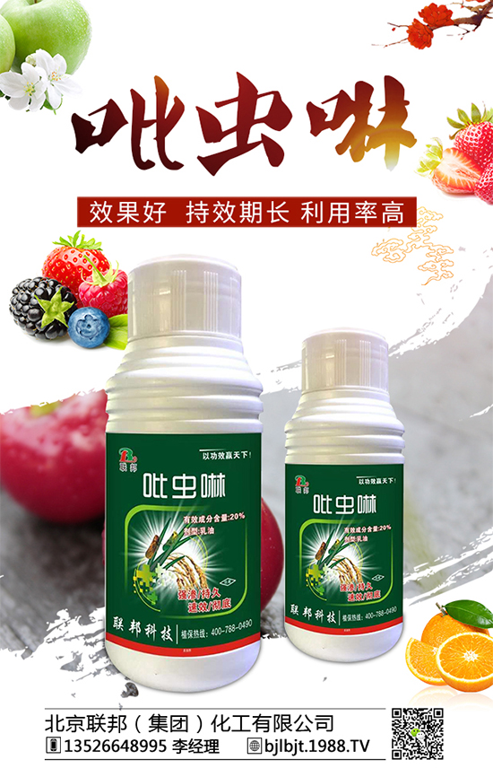     蘋果棉蚜蟲有什么危害？蘋果棉蚜生活習性及防治！