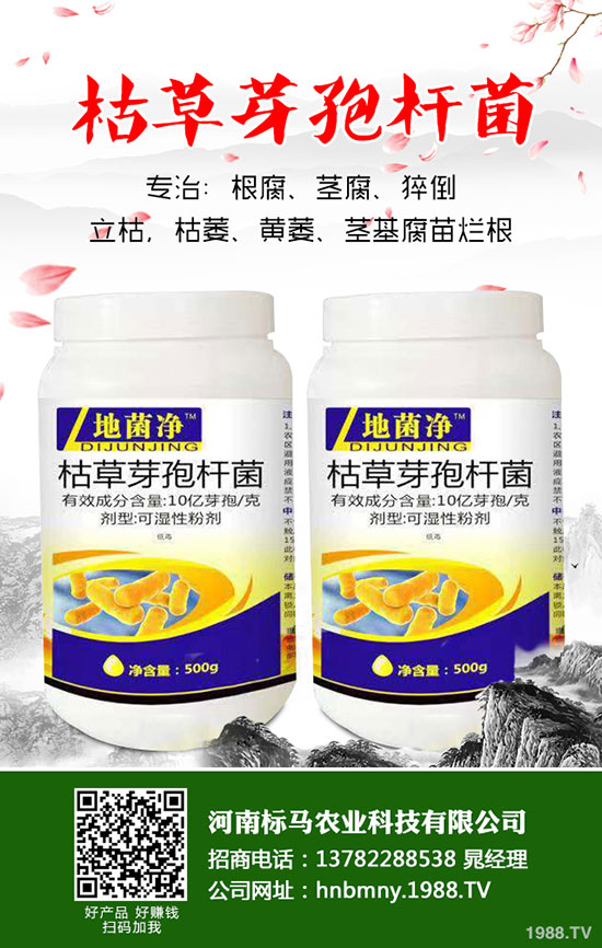 茄子想高產(chǎn),整枝修葉是關(guān)鍵!茄子整枝修葉原則及方法介紹!