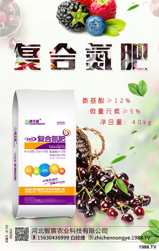 精品芒果種植技巧，施肥很關(guān)鍵！