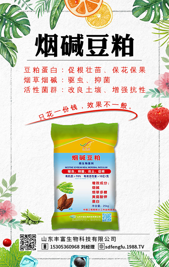 春紅薯什么時間種植？紅薯種植如何才能豐產呢？