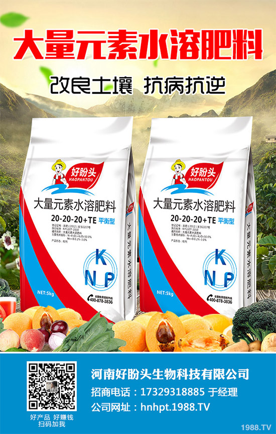 無花果有哪些營養(yǎng)價(jià)值?無花果的功效作用及食用禁忌