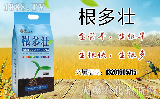  ϲ��(b��o)��1988.TVϲӭ��������(li��n)�A��ţ��(qi��ng)��(sh��)���u��