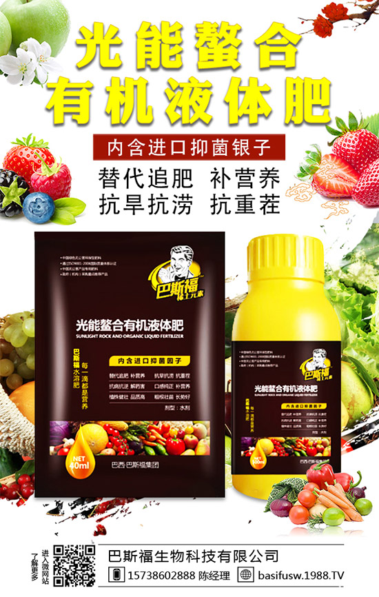 ��˹�������m(x��)�s1988.TV��������I(y��)���x����