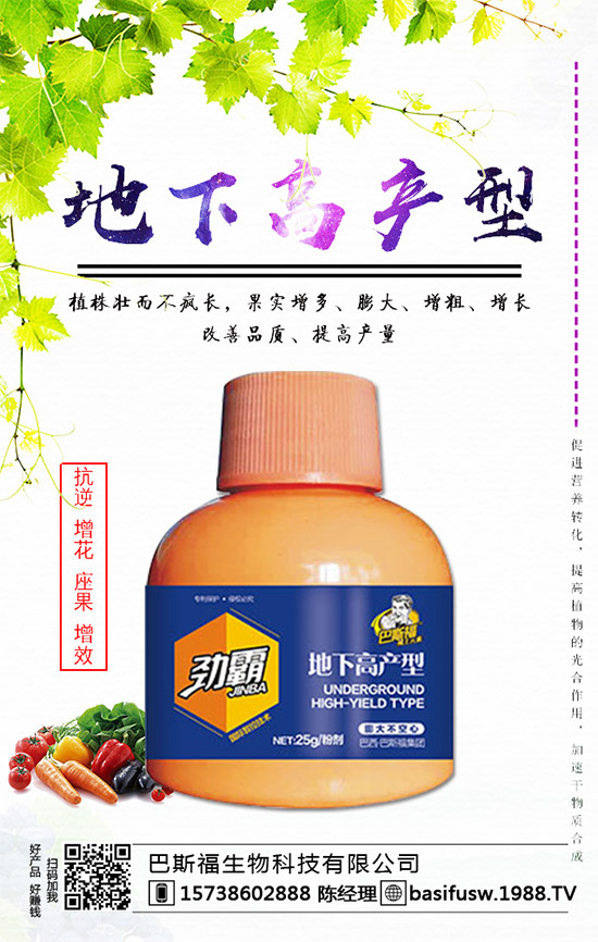 ��˹�������m(x��)�s1988.TV��������I(y��)���x����