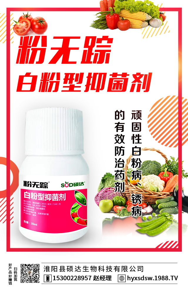 ��ꖿh�T�_(d��)����Ƽ����޹�˾