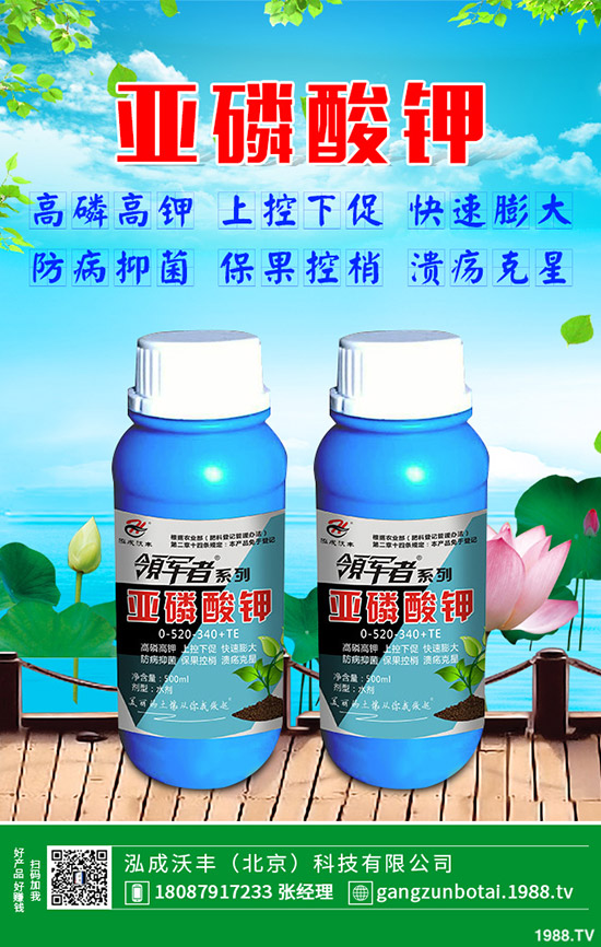 黃瓜彎瓜是什么原因呢？黃瓜彎瓜改善要訣！