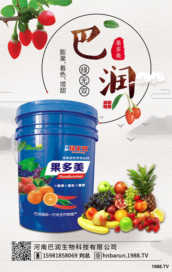     露地番茄該如何定植？定植密度是高產(chǎn)重要措施，快看看老農(nóng)怎么做！