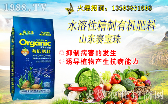 ِ�������ﺞ�s1988.TV�����\�������p�A��