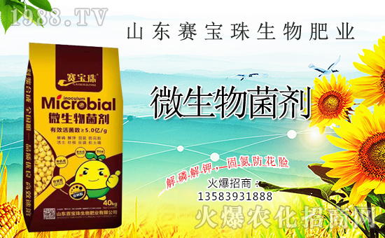 ِ�������ﺞ�s1988.TV�����\�������p�A��