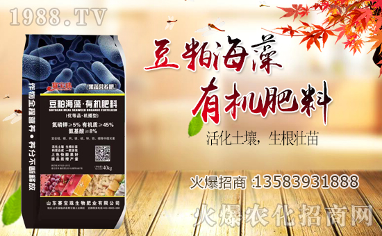 ِ�������ﺞ�s1988.TV�����\�������p�A��