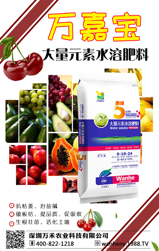 �����f���r(n��ng)�I(y��)�ٶȔy��1988.TV������W(w��ng)�j(lu��)�������E��