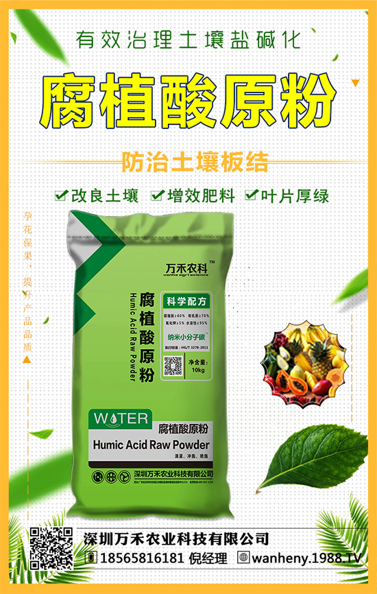 �����f���r(n��ng)�I(y��)�ٶȔy��1988.TV������W(w��ng)�j(lu��)�������E��