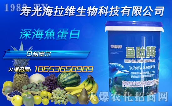 ���r(n��ng)���W(w��ng)ϲӭ�������������S���ﺞ�s���v1988