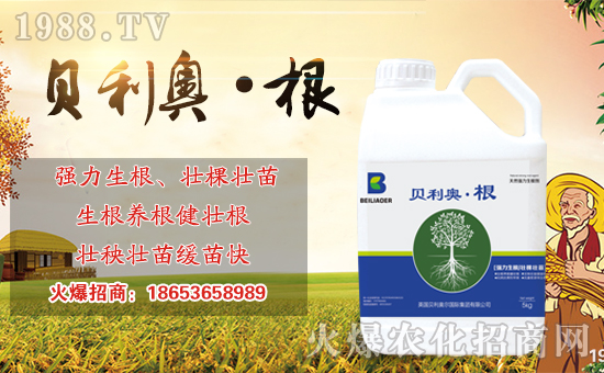 ���r(n��ng)���W(w��ng)ϲӭ�������������S���ﺞ�s���v1988