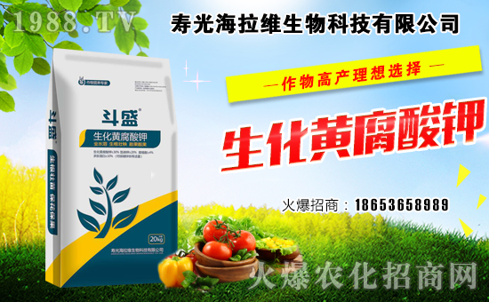 ���r(n��ng)���W(w��ng)ϲӭ�������������S���ﺞ�s���v1988