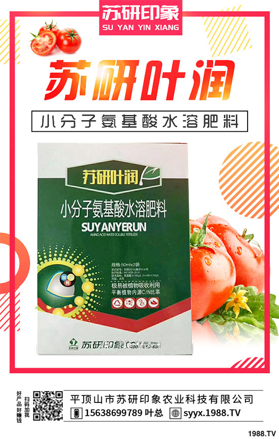 馬鈴薯該如何覆膜種植？馬鈴薯覆膜種植技術(shù)要點及存在的問題