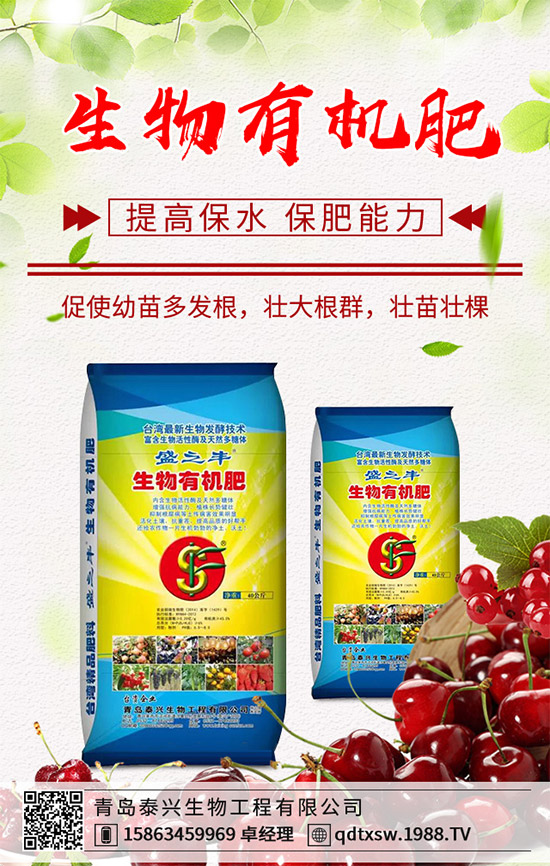 生姜該如何播種育苗？生姜高產(chǎn)栽培技術(shù)要點(diǎn)