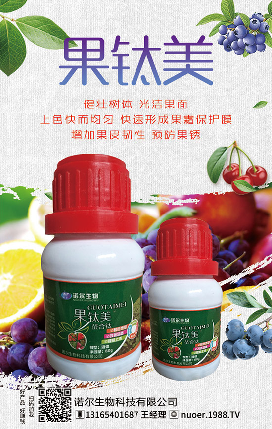 西葫蘆在什么時間種植？西葫蘆種植技巧有哪些？