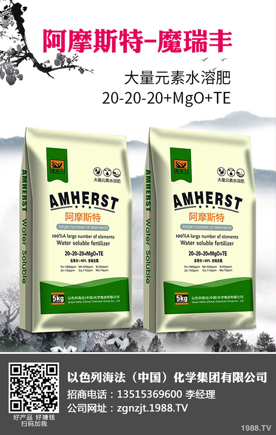 2020年春玉米什么時間播種？春玉米種植技術(shù)