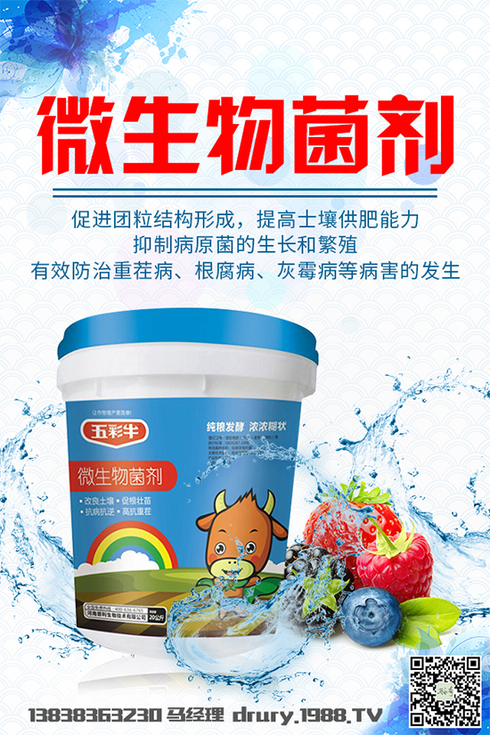 大棚韭菜該怎么種植？韭菜大棚管理技術(shù)要點(diǎn)