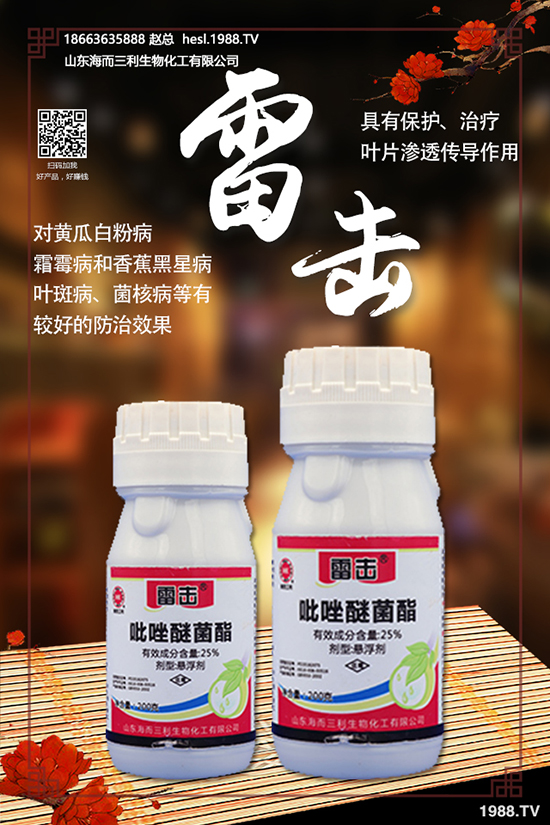 ɽ�|�����������ﻯ�����޹�˾2