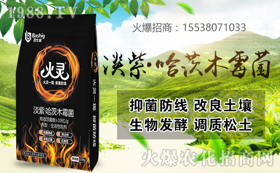 ���˸��r(n��ng)�I(y��)�ٺ����r(n��ng)���W(w��ng)�����󌍬F(xi��n)�v�w����