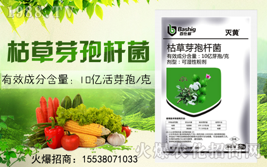 ���˸��r(n��ng)�I(y��)�ٺ����r(n��ng)���W(w��ng)�����󌍬F(xi��n)�v�w����