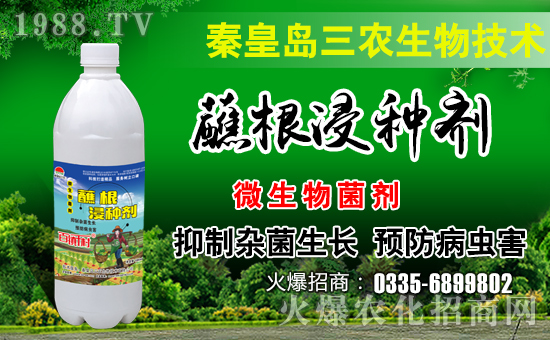 �ػʍu���r(n��ng)����A����˻��r(n��ng)���W(w��ng)���_���W(w��ng)�j������������