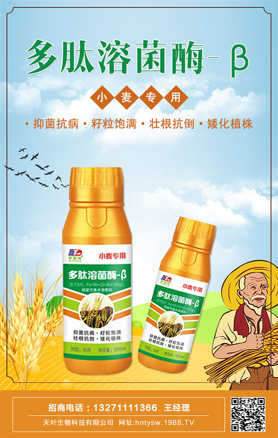 ���~�����ٺ�1988.TV���y�ִ����������E��