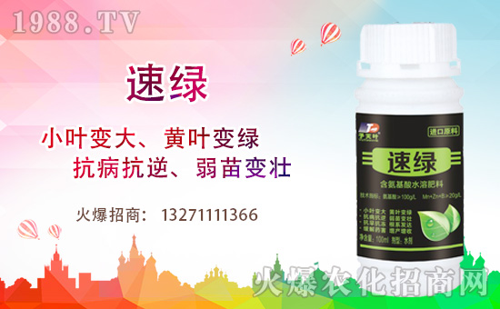 ���~�����ٺ�1988.TV���y�ִ����������E��