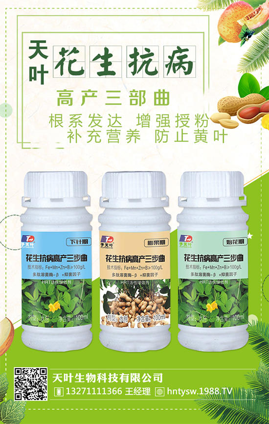 ���~�����ٺ�1988.TV���y�ִ����������E��