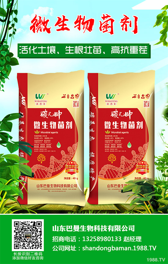 春花生播種后爛種是啥原因？該如何預(yù)防？農(nóng)民們必看的增產(chǎn)高產(chǎn)方案！