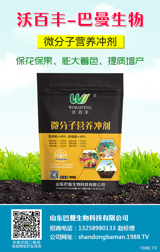 春花生播種的常見誤區(qū)，不少農(nóng)戶犯過錯（附解決方案）