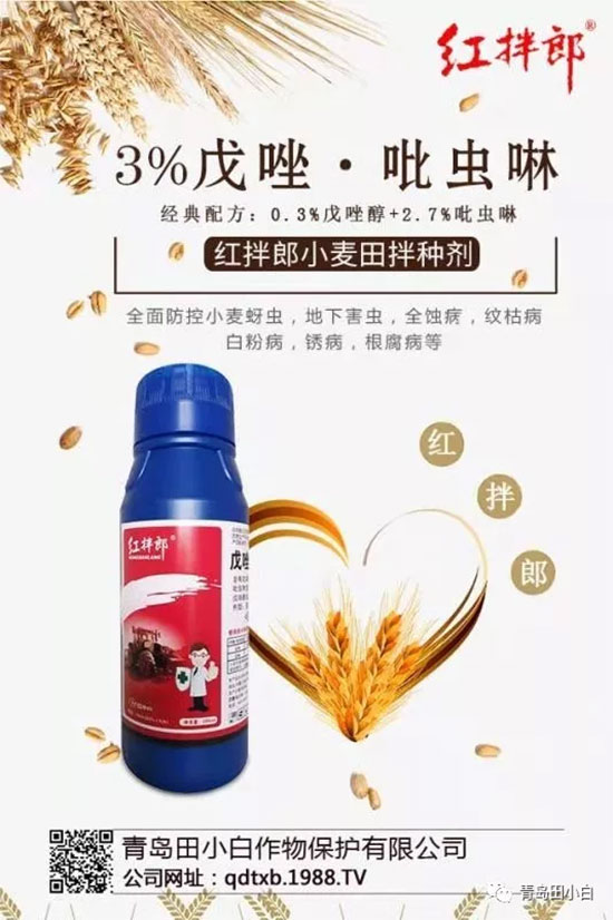 玉米為什么要拌種？玉米二次拌種及注意事項！