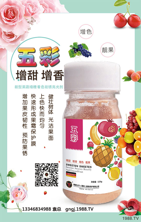 如何因地因品種確定玉米種植行距?玉米株距多遠(yuǎn)才是科學(xué)的?