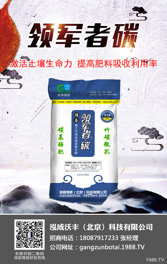 大棚土豆種植更高溫度多少？大棚馬鈴薯如何種植效益高？